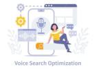 Voice Search Optimization and Digital Marketing in Jalandhar