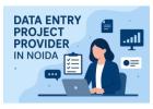 Data entry project provider in Noida