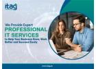 Professional Services IT Consulting and Services for Businesses in Dubai