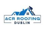 Flat Roof Repairs Dublin