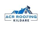 Roof Cleaning Kildare