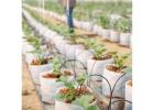 Florida’s Leading Irrigation Design Consultants