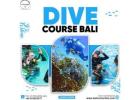 Dive Course Bali