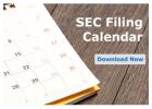 Looking For EDGAR Filing Services