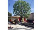 Tree Services in Pacific Palisades - Cisnerostreecare.com
