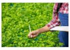 Are You Looking for Weed Control in Adelaide