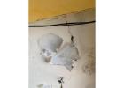 Best Waterproofing Services in Hyderabad | Proofing Experts