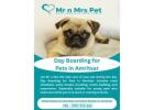 Day Boarding for Pets in Amritsar
