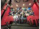 Wall Murals Miami - Binick Imaging