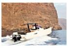 Tenerife Boat Rental Online | Bananapalmbay.com