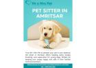 Pet Sitter in Amritsar