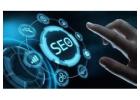 Rank Higher With Expert SEO Services In Delhi | Wall Communication