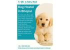 Dog Hostel in Bhopal
