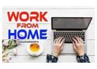 Easy US Medical Form Filling projects available call us 7708244092
