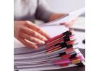 Professional Document Service In West Palm Beach
