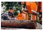 Professional Stump Removal in SW Washington