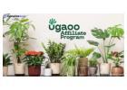 Earn money with the Ugaoo Affiliate Program
