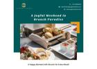 Elevate Your Weekend with the Most Amazing Brunch