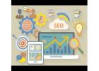 Hire SEO Freelancer