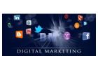Grow Your Business With The Best Digital Marketing Services In Delhi | Wall Communication