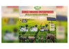 Affordable Solar Zatka Machine for Small & Large Farms