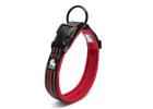 Smart Pet Care Products for Hassle-Free Routines