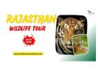 Rajasthan National Park Tour