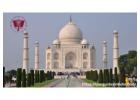 Discover Memorable Journeys Across India with Tour Packages