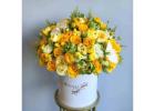 Shop Baby Boy Flower Arrangements for the Perfect Welcome Gift