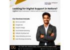 Best Digital Marketing Agency in Nellore – DigiGoss