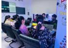 Professional Digital Marketing Training in Jaipur