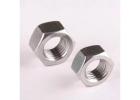 Hex Nuts 