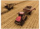 Kirkham Insurance Protects Farms with Complete Coverage