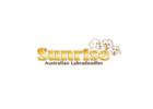 Healthy hypoallergenic dogs for sale in Florida | Sunrise Australian Labradoodles