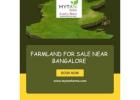 Secure Your Future with Farmland for Sale Near Bangalore