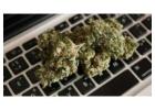 Buy Weed Online