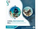 Coral Restoration Bali
