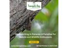 Birdwatching in Panama: A Paradise for Nature and Wildlife Enthusiasts