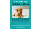 Pet Sitter in Bhopal