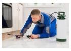Licensed Exterminator for Fast Pest Elimination
