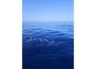 Private Tours in Tenerife for Couples | Privatetourtenerife.com
