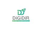 Top Digital Marketing Agency in India – DigiDirFree