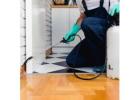 Bedbug Control Manchester – Effective & Reliable Solutions