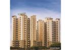 Flats in Gurgaon | Experion Developers