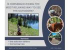 Is Horseback Riding the Most Relaxing Way to See the Outdoors?