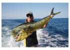 Port Douglas Fishing Charters