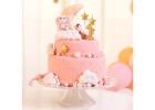 Explore Premium Cakes and Pastries Online by Lagom Patisserie