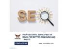 Professional SEO Expert in Delhi for Better Rankings and Traffic