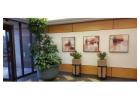 Transform Workspaces with Professional Office Plantscaping Services