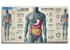 Understanding Common Digestive Disorders Symptoms for Better Health